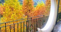 苗栗｜南庄雲水度假溫泉：欣賞橙紅色落羽松美景！走進宛如童話般的私人莊園