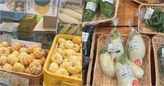 日本｜四季蔬菜月曆：採買蔬菜一次看懂，產地直出新鮮又便宜