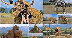 2025富里稻草藝術季！打卡大型動物裝置藝術，從關山、池上玩到富里