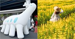 2025全台3月活動推薦！櫻花季、音樂祭、螢火蟲季，春季盛典一次看！