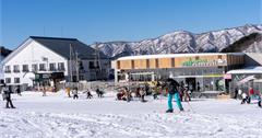 日本滋賀景點推薦：探索湖北！長濱歷史街景、關西最大規模滑雪勝地