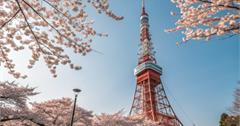 日本旅行禁忌：旅遊日本這幾件事千萬別做，小心被討厭