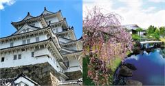 日本姬路城亮點介紹！票價資訊、注意事項、周邊順遊景點一次看