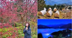 蟬說：霧語Woo Yuu：新竹高海拔豪華露營！住進雲的故鄉，滿天星斗、櫻花樹海盡收眼底