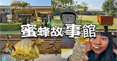 雲林古坑一日遊：蜜蜂故事館、古坑綠色隧道、假日市集