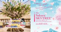 東京晴空塔期間限定The Sakura SKYTREE！限定週邊、活動，高空賞櫻感受日本春日浪漫