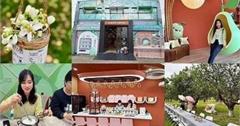 柚兒園：倉庫改建文旦主題館，柚花咖啡、蠟燭DIY、柚香料理