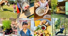 築夢森旅：嘉義懶人露營推薦，親子DIY、生態探索，與動物近距離接觸