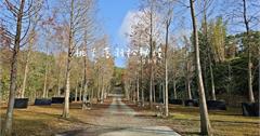 一二山嶺露營區：夜衝搭帳體驗～南投竹林茶園秘境營地