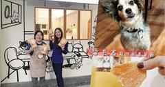 愛毛客複合式餐廳：淡水寵物友善咖啡廳，附狗狗寵物餐！