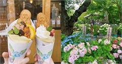 日本鎌倉繡球花景點推薦！六月花季節開始，到鎌倉賞花品嚐美食