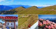 南投｜2025合歡山花季：4～6月上武嶺賞高山杜鵑花吧！交通管制、接駁公車行前須知