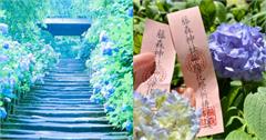 全日本繡球花季景點推薦！從鐮倉、箱根到京都，賞紫陽花感受雨季浪漫
