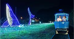 新北深澳鐵道自行車：燦爛夏夜山海騎「鯨」艷登場浪漫「騎」蹟啟程！	