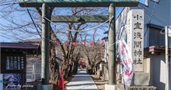 日本山梨｜富士山下宮小室淺間神社：寧靜莊嚴的在地千年神社，著名神馬御神籤值得收藏