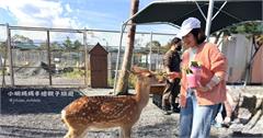 星夢森林劇場：宜蘭親子動物樂園，還可以與水豚君握手！