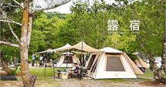 露宿Lùsù Camping：南投埔里山林系營地，松樹環繞遮蔭舒適，同好團露聚會首選