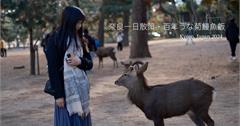 日本奈良一日遊｜徒步感受古都魅力，推薦奈良公園、春日大社、百年鰻魚飯菊水樓