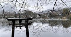 日本九州｜由布院一日遊：匯集溫泉、自然美景、甜點美食，湯之坪溫泉街、金鱗湖旅遊攻略