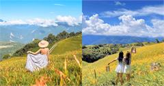 2025花東金針花季：六十石山、赤科山、太麻里，活動交通一次看！