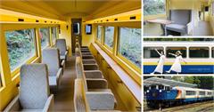 阿里山觀光列車-栩悅號：車廂種類、行駛路線、特色停靠站、票價資訊懶人包