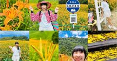 花蓮｜2025赤科山金針花季：專車一日遊方案！暢遊花海、體驗風味午餐與窯燒金針