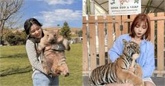 世界8大可愛動物景點推薦！短尾矮袋鼠、袋熊、水獺一次看