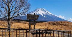 日本靜岡｜朝霧高原：遠離觀光區的拍照秘境，筆直馬路X遼闊牧場，收藏不同角度富士山景
