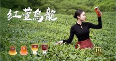 麻古茶坊秋季新品《紅萱烏龍》登場！中秋團圓帶上「麻酷分享壺」一次滿足！