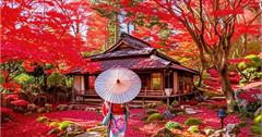 走進秋日浪漫！跟Klook探訪日本5大必訪賞楓行程