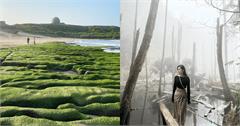 台灣快消失的美景9選｜從忘憂森林到女王頭，你還有機會看見的絕景