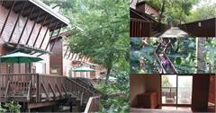 南投｜鳳凰・森之鳴：一泊二食綠建築木屋開箱！獨享鳳凰谷夢幻霧屋仙境