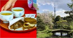 日本東京隱藏版公園推薦！在晴空塔周邊漫步感受東京人文之美