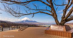 日本山梨｜山中湖明神山展望台：富士山與山中湖同框無死角，沒有觀光客的私房景點