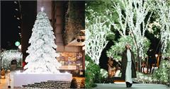 2025勤美草悟聖誕村11/21開村！雪白聖誕樹、250公尺光之道一次看！