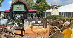 桃園｜埔心牧場：親子旅遊天堂！與動物近距離互動、體驗手工榨乳，大草皮讓小孩盡情跑跳