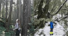 北部中級山路線推薦｜深入台灣山林，挑戰最美稜線與湖泊
