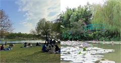 全台名畫景點：奇美博物館、莫內的花園，感受畫作景致與氛圍