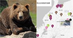 防熊完整指南：遇到熊怎麼辦？熊出沒旅遊地圖、防範攻略一次看！
