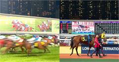香港新手賽馬攻略｜賽馬玩法、投注方式、賽馬場推薦一次看