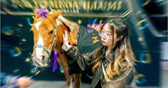 日本馬年活動推薦！東京三大馬年活動一次看，讓出國有趣又應景