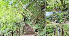 馬胎古道：新竹秘境超夯步道～彷彿闖進侏羅紀公園，走獨木橋超有感～