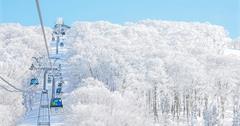 9個日本秋田冬季景點、溫泉住宿推薦：樹冰、粉雪、秘湯一次收！
