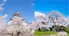 日本東北甲信越地區賞櫻推薦！最佳賞櫻景點與拍照技巧一次看