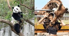全台動物園推薦：10大必去！水豚、樹懶近距離互動，門票地圖一次收