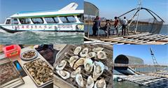搭船欣賞台南沿海，七股龍海號生態之旅提供專人導覽、烤蚵吃到飽