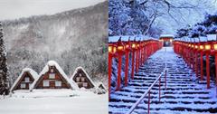 走進純白童話世界！日本冬季賞雪景點全攻略