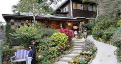 隱身苗栗山間童話小屋：南庄橄欖樹咖啡民宿，貓咪環繞超療癒！