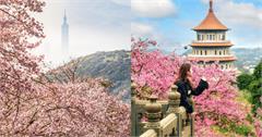 2026北台灣櫻花季推薦｜台北、新北、桃園必去賞櫻景點總整理
