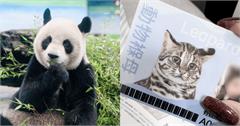臺北市立動物園攻略：門票交通、園區地圖、認養計畫、夜間開放特色玩法一次看！